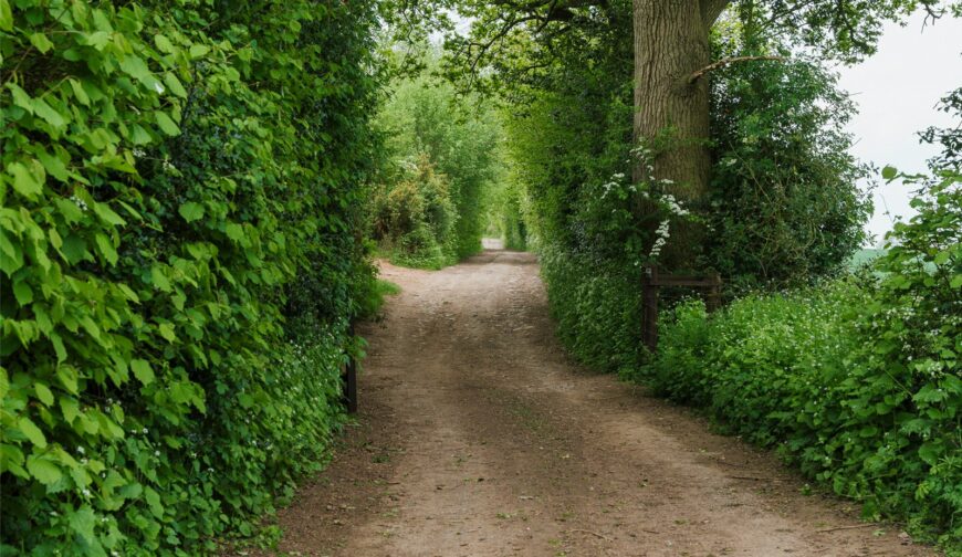 Stirbridge Farm, Risbury - Picture No. 33