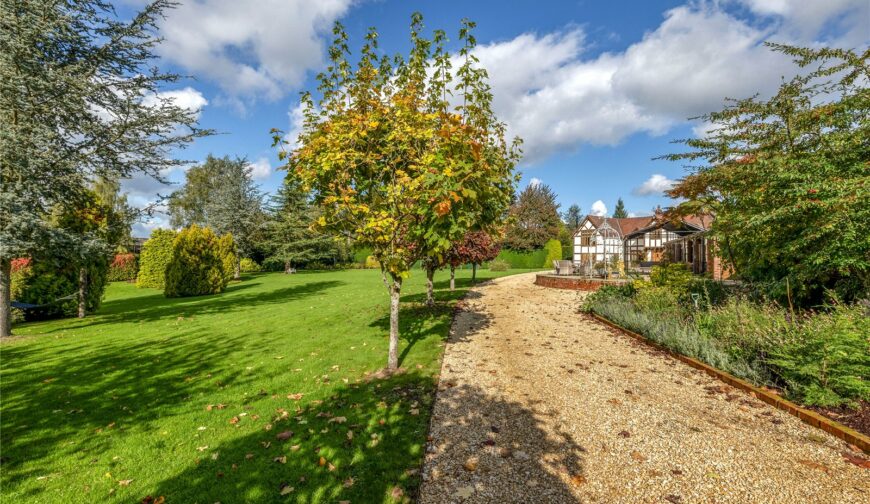 Wild Cherry Farm, Elton - 29