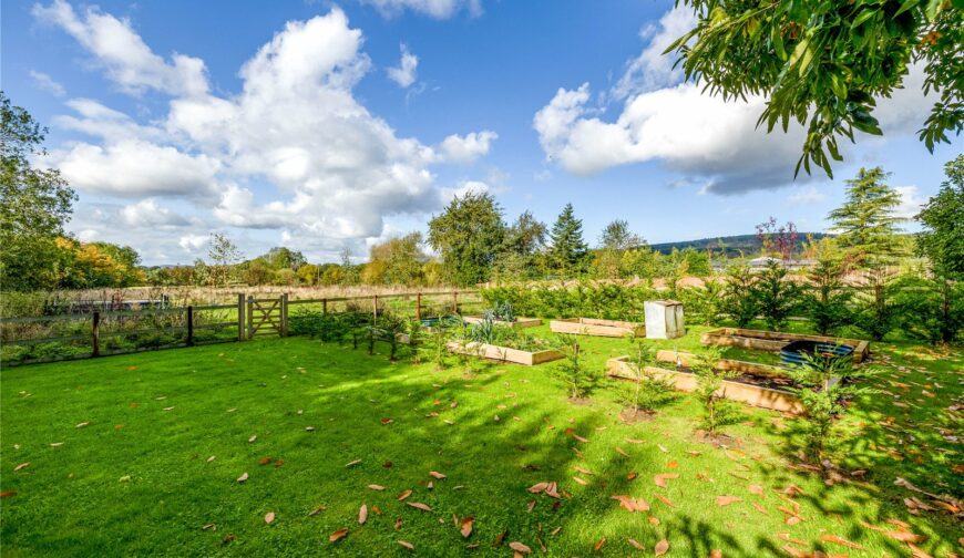 Wild Cherry Farm, Elton - 30