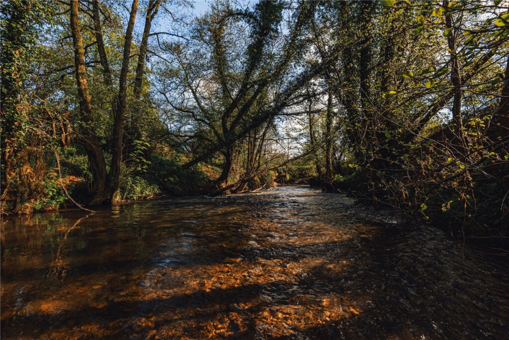 Poughnhill Farm, Caynham - Picture No. 19