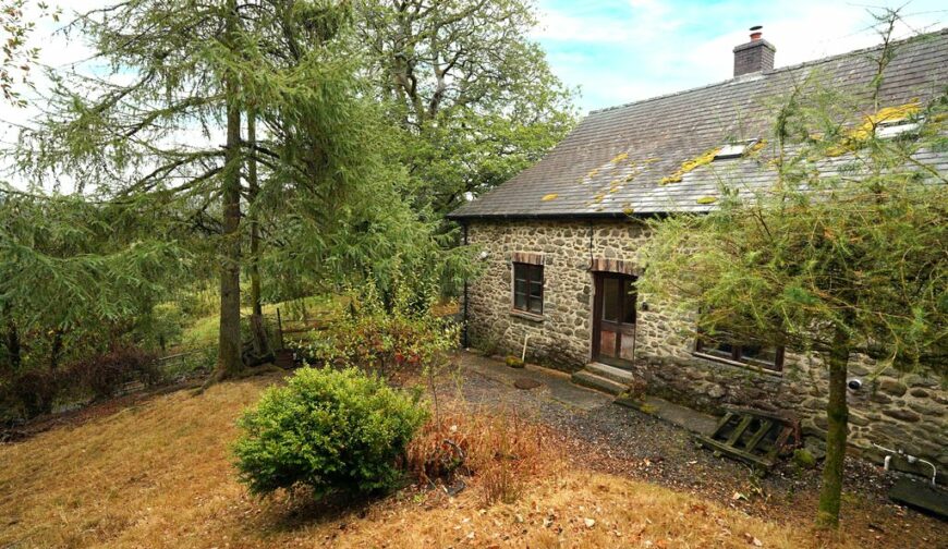 Llwyngwrgan House, Llanafanfawr - 2