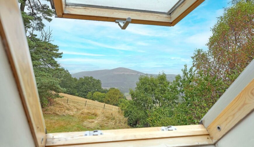 Llwyngwrgan Stables, Llanafanfawr - 11