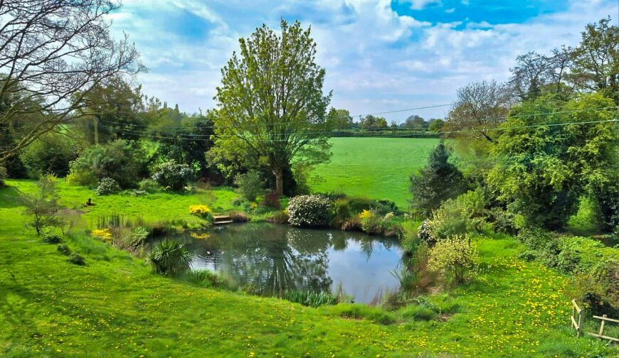 The Homestead, Coton - Pond
