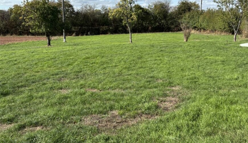 New House Farm, Wormbridge - Picture No. 05